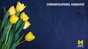 Congratulations Graduate! yellow tulips