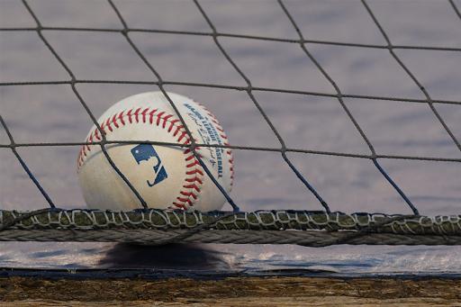 Baseball in front of net